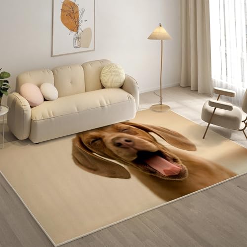 KaiHeBeding Teppich 200x300, Waschbar Anti-Rutsch Extra GroßE Teppiche, Pitbull Moderner Kurzflor Teppich Wohnzimmer Schlafzimmer mit, Khaki von KaiHeBeding