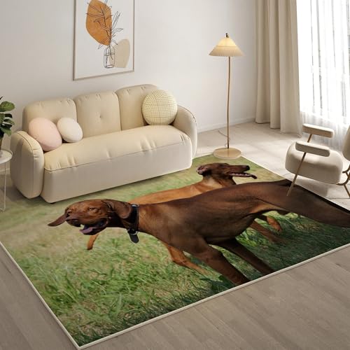 KaiHeBeding Teppich 200x300, Waschbar Anti-Rutsch Extra GroßE Teppiche, Rhodesian Ridgeback Moderner Kurzflor Teppich Wohnzimmer Schlafzimmer mit, Haustiere von KaiHeBeding
