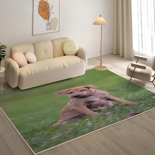 KaiHeBeding Teppich 200x300, Waschbar Anti-Rutsch Extra GroßE Teppiche, Rhodesian Ridgeback Moderner Kurzflor Teppich Wohnzimmer Schlafzimmer mit, Haustiere von KaiHeBeding