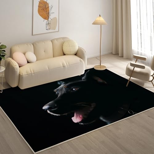 KaiHeBeding Teppich 200x300, Waschbar Anti-Rutsch Extra GroßE Teppiche, Schwarzer Hund Moderner Kurzflor Teppich Wohnzimmer Schlafzimmer mit, Tier von KaiHeBeding