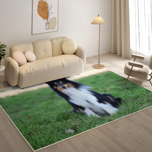 KaiHeBeding Teppich 200x300, Waschbar Anti-Rutsch Extra GroßE Teppiche, Shetland Sheepdog Moderner Kurzflor Teppich Wohnzimmer Schlafzimmer mit, Süß von KaiHeBeding
