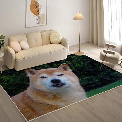 KaiHeBeding Teppich 200x300, Waschbar Anti-Rutsch Extra GroßE Teppiche, Shiba Inu Moderner Kurzflor Teppich Wohnzimmer Schlafzimmer mit, Tier von KaiHeBeding