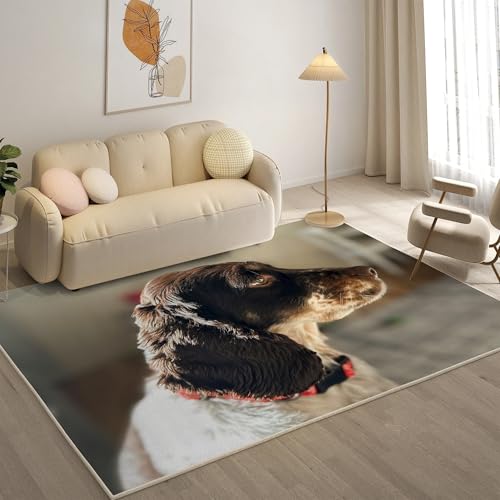 KaiHeBeding Teppich 200x300, Waschbar Anti-Rutsch Extra GroßE Teppiche, Springer Spaniel Moderner Kurzflor Teppich Wohnzimmer Schlafzimmer mit, Haustiere von KaiHeBeding