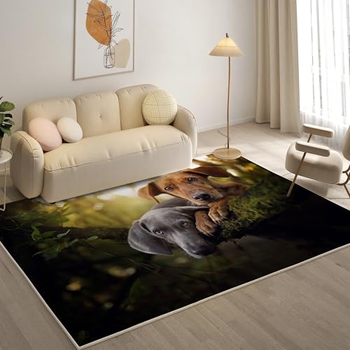 KaiHeBeding Teppich 200x300, Waschbar Anti-Rutsch Extra GroßE Teppiche, Weimarra Moderner Kurzflor Teppich Wohnzimmer Schlafzimmer mit, Haustiere von KaiHeBeding