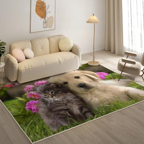 KaiHeBeding Teppich 200x300, Waschbar Anti-Rutsch Extra GroßE Teppiche, Welpe Moderner Kurzflor Teppich Wohnzimmer Schlafzimmer mit, KäTzchen von KaiHeBeding