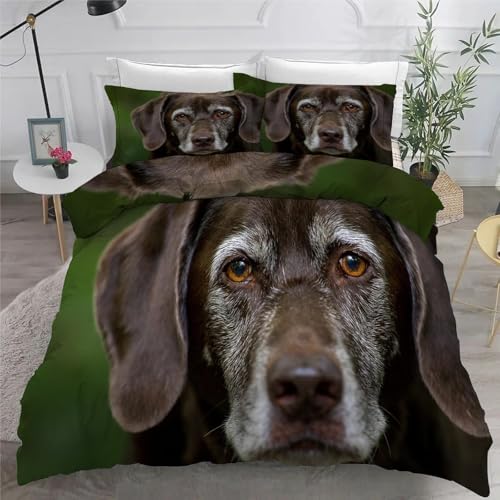 Labrador BettwäSche 200x220 3teilig Bettbezug Haustiere BettwäSche-Sets 200 x 220 cm und 2 KissenbezüGe 80x80 cm, BettwäSche Set füR Doppelbett mit ReißVerschluss von KaiHeBeding