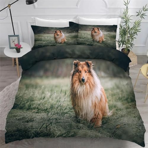Schottischer Collie BettwäSche Set 200x200 cm Haustiere Bettbezug und 2 Kissenbezug 80x80 cm Weiche Flauschiger Mikrofaser 3 Teilig BettwäSche mit ReißVerschluss füR Doppelbett von KaiHeBeding