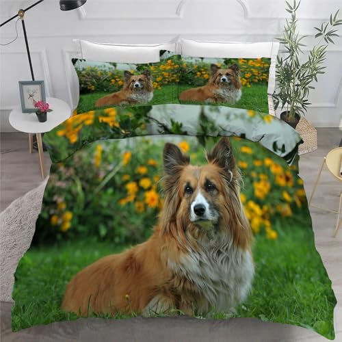 Shetland Sheepdog BettwäSche Set 200x200 cm Süß Bettbezug und 2 Kissenbezug 80x80 cm Weiche Flauschiger Mikrofaser 3 Teilig BettwäSche mit ReißVerschluss füR Doppelbett von KaiHeBeding