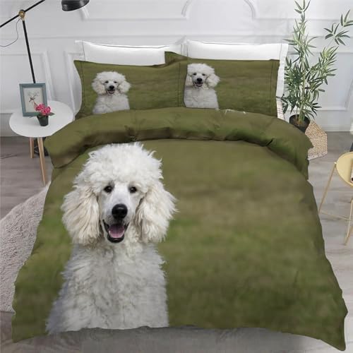 Süß BettwäSche Set 200x200 cm Pudel Bettbezug und 2 Kissenbezug 80x80 cm Weiche Flauschiger Mikrofaser 3 Teilig BettwäSche mit ReißVerschluss füR Doppelbett von KaiHeBeding