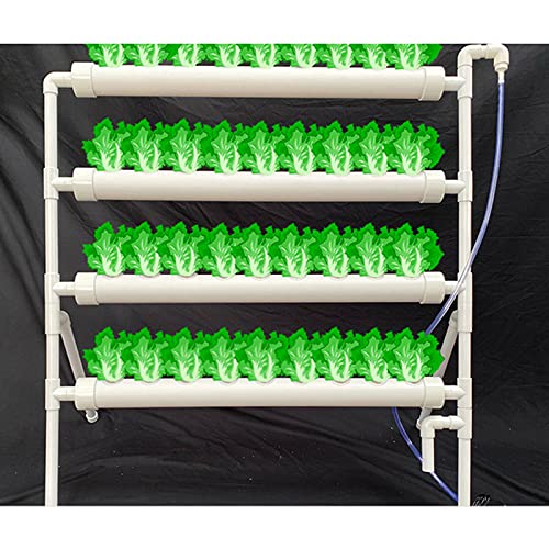 Kaibrite Hydroponic Site, Rohre Grow Kit 36 Loch Hydroponics-System PVC-U Pipeline Hydroponisches Anbau-System Gemüsewerkzeug Grow Kit für Haus Balkon Garten von Kaibrite