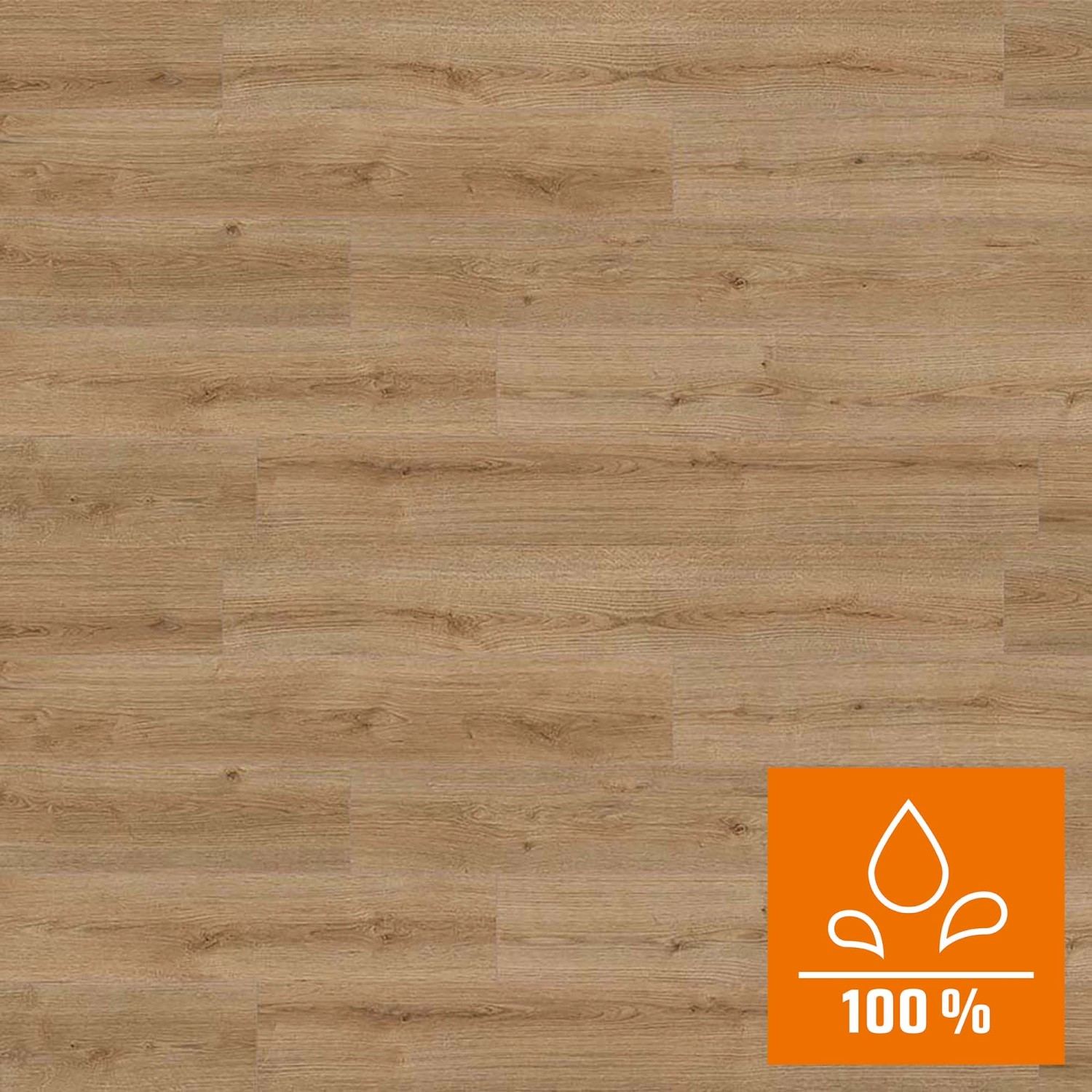 Kaindl Laminatboden Masterfloor Aqualine Eiche Evoke Trend 8 mm von Masterfloor Aqualine