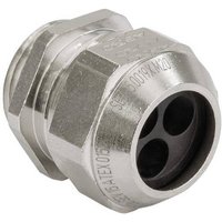 Kaiser Elektro EX1310.63.6.120 Kabelverschraubung M63 Metall 5St. von Kaiser Elektro