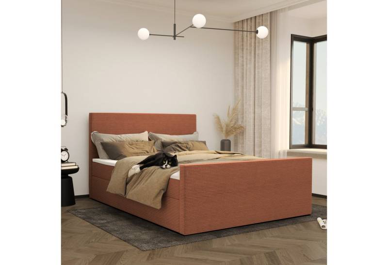 Kaiser Möbel Boxspringbett Modern mit bettkasten und topper VIESTA stoff Poso, Große Auswahl an Größen, zwei Bettkästen, Topper Kaiser Möbel Boxspringbett Modern mit bettkasten und topper VIESTA stoff Poso, Große Auswahl an Größen, zwei Bettkästen, Topper von Kaiser Möbel