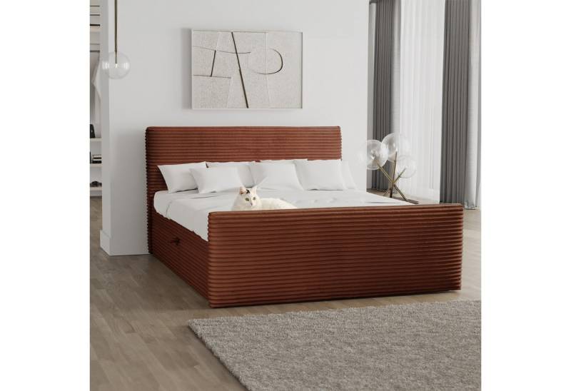Kaiser Möbel Boxspringbett Trento mit Bettkasten, Topper und Bonellmatratze, VELO Stoff (Komplett-Set (Bettgestell, Matratze, Topper), mit Topper mit Bettkasten antibakterieller Bezug einfache Montage von Kaiser Möbel