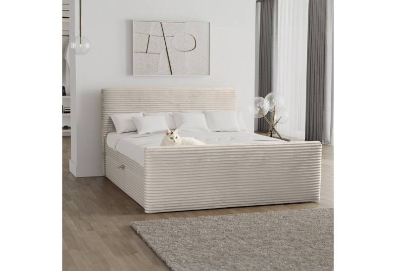 Kaiser Möbel Boxspringbett Trento mit Bettkasten, Topper und Bonellmatratze, VELO Stoff (Komplett-Set (Bettgestell, Matratze, Topper), mit Topper mit Bettkasten antibakterieller Bezug einfache Montage von Kaiser Möbel