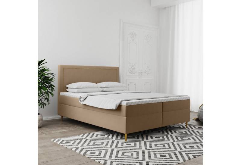 Kaiser Möbel Boxspringbett GOLDEN mit Bettkasten, Matratze & Topper – Velvet Stoff, viele Farben (Boxspringbett mit Matratze und Topper,Komplettset), Goldene Metallfüße,Kaltschaumauflage,Verziertes Kopfteil Kaiser Möbel Boxspringbett GOLDEN mit Bettkasten, Matratze & Topper – Velvet Stoff, viele Farben (Boxspringbett mit Matratze und Topper,Komplettset), Goldene Metallfüße,Kaltschaumauflage,Verziertes Kopfteil von Kaiser Möbel