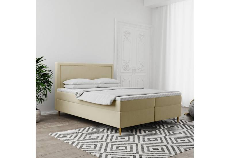 Kaiser Möbel Boxspringbett GOLDEN mit Bettkasten, Matratze & Topper – Velvet Stoff, viele Farben (Boxspringbett mit Matratze und Topper,Komplettset), Goldene Metallfüße,Kaltschaumauflage,Verziertes Kopfteil von Kaiser Möbel
