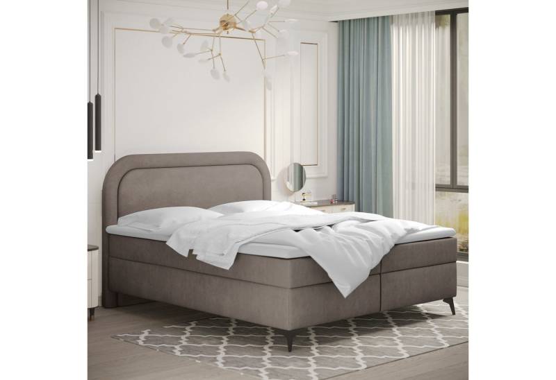 Kaiser Möbel Boxspringbett Valentino mit Bettkasten, Topper und Bonellmatratze – edles Design (Bettgestell mit Matratze und Topper, Set aus Bettgestell, Matratze und Topper), Visko-Topper,Stauraum unter Lattenrost,Silberner Bezug,Hoher Komfort von Kaiser Möbel