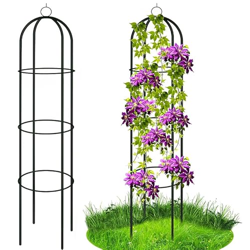 Rosensäule Rankturm Rankobelisk Ranksäule für Kletterpflanzen – Elegante Rosenkletterhilfe für Garten | Metall Rankhilfe für Rosen, Blumen und Weinreben – Ø40x190cm Rosensäule Rankturm Rankobelisk Ranksäule für Kletterpflanzen – Elegante Rosenkletterhilfe für Garten | Metall Rankhilfe für Rosen, Blumen und Weinreben – Ø40x190cm von Kaiser für den Garten