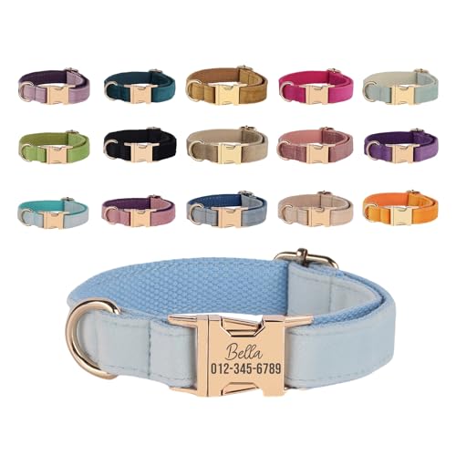 Hundehalsband, personalisierbar, mit Haustiername/Telefonnummer, goldfarbene Metallschnalle, individuelle verstellbare Größen, weiches Samt-Halsband für kleine, mittelgroße und große Hunde Hundehalsband, personalisierbar, mit Haustiername/Telefonnummer, goldfarbene Metallschnalle, individuelle verstellbare Größen, weiches Samt-Halsband für kleine, mittelgroße und große Hunde von KakaTify