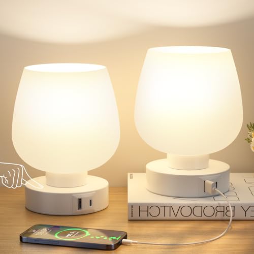 Kakanuo Nachttischlampe Touch Dimmbar 2er Set, Tischlampe mit USB A+C Anschlüsse LED Birne, 3-fach Dimmbar, Kleine Glas Lampe für Nachttisch Schlafzimmer Wohnzimmer Babyzimmer von Kakanuo