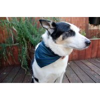Hunde Bandana Gren Und Blau - Seahawk Größe Medium Hundeschal Mädchen Hundebekleidung Welpe 9" By 30" von Kakodah