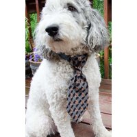 Hundehalsband - Schwarz Und Braun Größe Medium Haustier Halskrawatte Zur Hochzeit Verstellbare Legnth Foto Requisite Over Collar von Kakodah