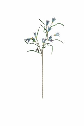 KALALOU CLX3384 Botanica #3384 von Kalalou