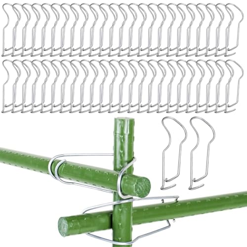 50pcs Pflanzenträger Clips, Edelstahl -Gitterclips, Gartenhaufen anschließenden Schnallen für Bambusstabs -Steckdosen -Steckverbinder für Kletteranlagen 50pcs Pflanzenträger Clips, Edelstahl -Gitterclips, Gartenhaufen anschließenden Schnallen für Bambusstabs -Steckdosen -Steckverbinder für Kletteranlagen von Kalastussaari