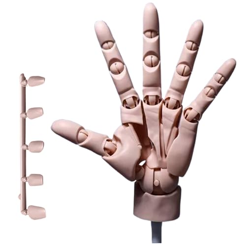 Handmodell 1: 1 Artikulierte Schaufensterpuppe Hand, bewegliche Gelenk Manikin Hand mit Basis, DIY PVC ABS Handmodell zum Zeichnen, Malerei, Skizzieren/Teint von Kalastussaari