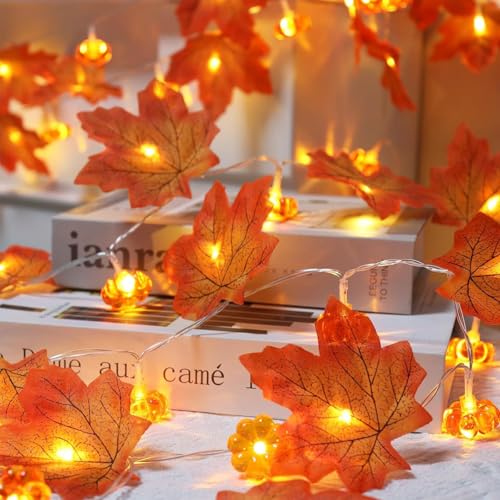 Kaleora Ahornblatt Kürbis Lichterkette, 3M 20 LED Lichterkette mit Herbstblättern und Kürbissen Batteriebetrieben, Herbst Lichterketten for Herbstdeko Erntedankfest Halloween Party Deko von Kaleora