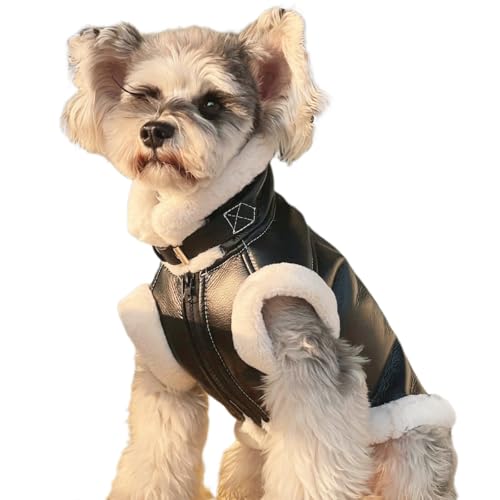 Lederjacke für Hunde, wasserdicht, mit Fleece-Futter, Winter, warm, Halloween, Rock Star, Kostüm, Motorradbekleidung von KaloKLU