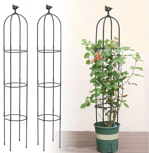 2 Stück Gartenspalier für Kletterpflanzen, Kalolary 6 Fuß Schwarzer Gartenturm-Obeliskspalier Rostfreies Metall Topfpflanzen-Kletterstütze für Drinnen und Draußen Blumen Gemüse Obst Weinreben von Kalolary