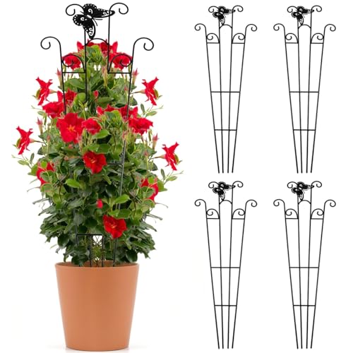 4 Packung Gartengitter für Topfpflanzen, Kalolary 2,6 Fuß Schwarzer Garten Klettergitterrahmen Rostfreies Metall Topfpflanzen Kletterstütze für Drinnen und Draußen, Blumen, Gemüse, Obst, Weinreben von Kalolary