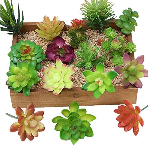 Kalolary 16 Stück Künstliche Sukkulenten Blumen Pflanzen, Mini Unpotted Decor Vorbauten Mixed Gefälschte Pflanzen Bulk Verschiedene Picks Geburtstag Wohnkultur Innenwand Garten Hotel von Kalolary