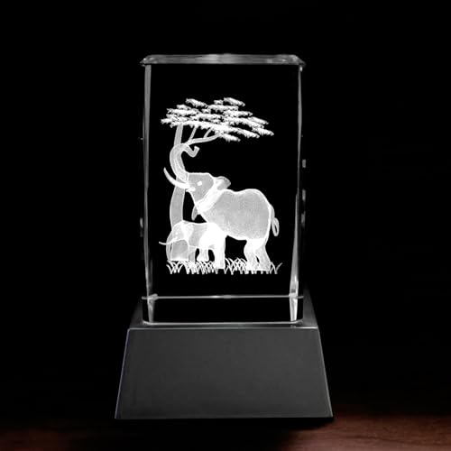 Kaltner Präsente Stimmungslicht - Ein ganz besonderes Geschenk: LED Kerze/Kristall Glasblock / 3D-Laser-Gravur Tiere Elefanten inklusive LED Beleuchtug von Kaltner Präsente