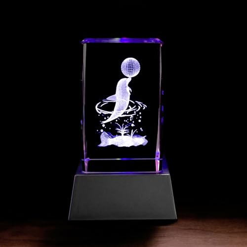 Kaltner Präsente Stimmungslicht: LED Kerze/Kristall Glasblock / 3D-Laser-Gravur Tiere Delfin von Kaltner Präsente