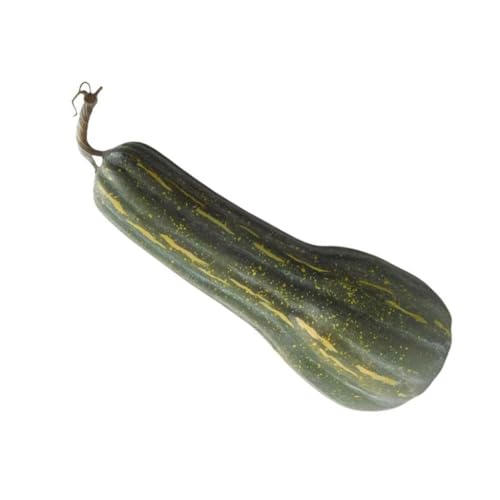 Künstliche Kürbisse, realistische Schaumstoff-Kürbisse, künstliche Gemüse-Fotografie-Requisiten Künstliche Kürbisse, realistische Schaumstoff-Kürbisse, künstliche Gemüse-Fotografie-Requisiten von Kalttoy