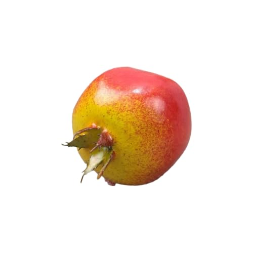 Künstliches Obst- und Lebensmittelmodell, Desktop-Ornament, Partyzubehör, Simulation, Orange von Kalttoy