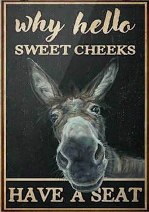 Kalynvi Lustiges Retro-Blechschild mit schwarzem Esel und Aufschrift "Why Hello Sweet Cheeks Have A Seat", Retro-Blechschild für Zuhause, Kaffee, Wanddekoration, 20,3 x 30,5 cm, 20,3 x 30,5 cm von Kalynvi
