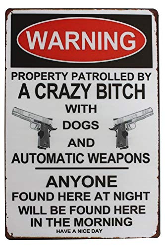 Kalynvi Metall-Blechschild mit Aufschrift "Warning Property Patrolled by A Crazy", Vintage-Kunst-Poster, Wand-Dekoration von Kalynvi