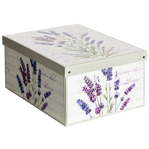 Lavatelli LAVENDER Aufbewahrungsbox, Cardboard, LAVENDEL, 1 cm von Lavatelli