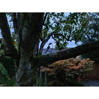 Metall Rotkehlchen Zaun Topper - Gartenornament von KanoDesignStudio