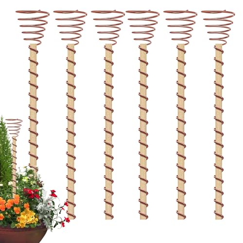 Kapaunn Gartenstecker aus Kupfer, Pflanzenstecker aus Kupfer - 6 Stück 12-Zoll-Elektrokultur-Kupferspulenantennen | Elektrokultur-Gartenpfähle für das Wachstum von Pflanzen, Obst und Gemüse von Kapaunn