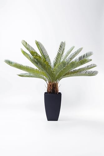 Kare Design Pflanze Cycas Tree Deko, 78 cm von Kare