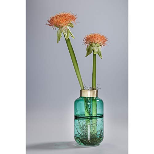 Kare Design Vase Positano Belly, Glasvase für das Wohnzimmer, Dekoratives Accessoire aus Glas, Blumenvase, Grün, 28cm Kare Design Vase Positano Belly, Glasvase für das Wohnzimmer, Dekoratives Accessoire aus Glas, Blumenvase, Grün, 28cm von Kare
