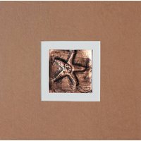 Handpolierter Kupfer Flachrelief Mix Media Seestern Mit Brauner Wildledermatte Auf Weißer Unterlage von KarenCadeArtworks