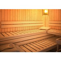 Karibu Sauna-Rückenlehne "Premium Set 3" von Karibu