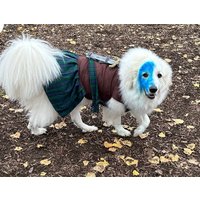 Braveheart Hundekostüm Mittelalterliches Schotten Schottenkaro Outfit Mit Schwert Braveheart Hundekostüm Mittelalterliches Schotten Schottenkaro Outfit Mit Schwert von Karisfancypups