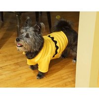 Charlie Brown Hundekostüm Charlie Brown Hundekostüm von Karisfancypups